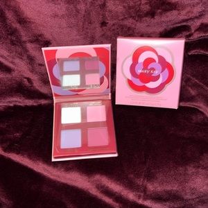 💕MARY KAY LIMITED EDITION EYE SHADOW PALETTE